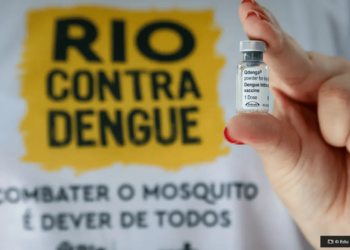 Rio de Janeiro confirma quinta morte por dengue © Edu KappsSMS O Diário de Notícias do País!