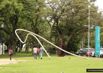 Juiz ordena que USP efetive matricula de aluno barrado em cota racial © Rovena RosaAgencia Brasil O Diário de Notícias do País!