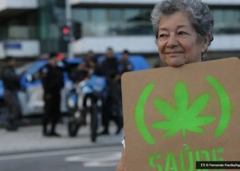 Anvisa defende manutencao de marco regulatorio para cannabis medicinal © Fernando FrazaoAgencia Brasil O Diário de Notícias do País!