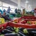 Batata banana laranja e melancia estao mais baratas segundo a Conab © Rafa NeddermeyerAgencia Brasil O Diário de Notícias do País!