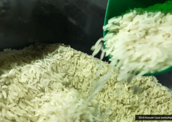 Brasil vai importar arroz para evitar especulacao de precos © Marcello Casal JuniorAgencia Brasil O Diário de Notícias do País!