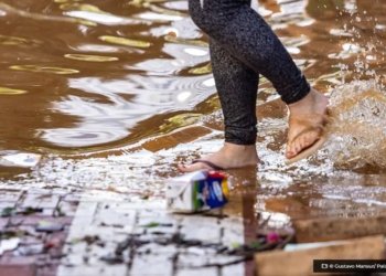 Com recuo da agua Porto Alegre enfrenta lixo na rua ratos e insetos © Gustavo Mansur Palacio Piratini O Diário de Notícias do País!