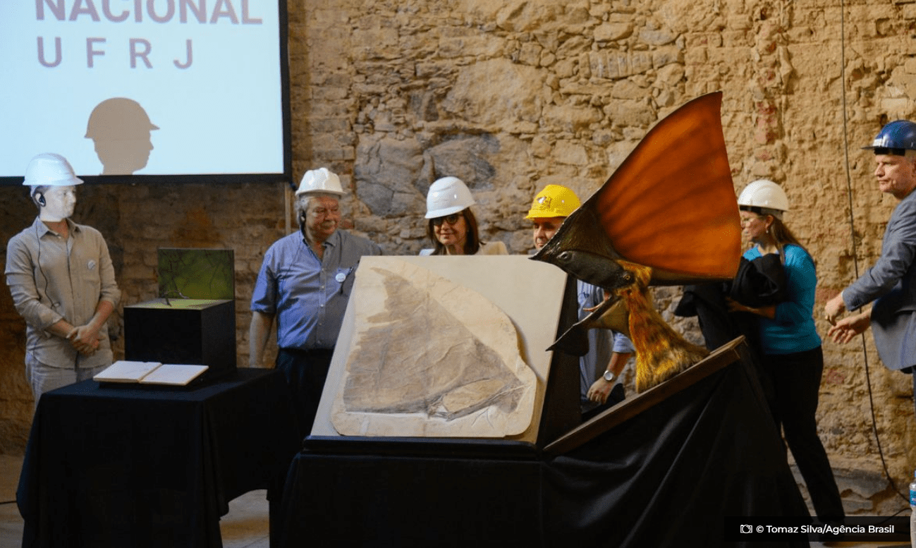 Museu Nacional recebe doacao de mais de mil pecas © Tomaz SilvaAgencia Brasil O Diário de Notícias do País!