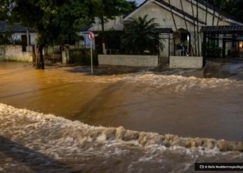 Tragedia no RS ja soma R 167 bilhao em indenizacoes de seguros © Rafa NeddermeyerAgencia Brasil O Diário de Notícias do País!