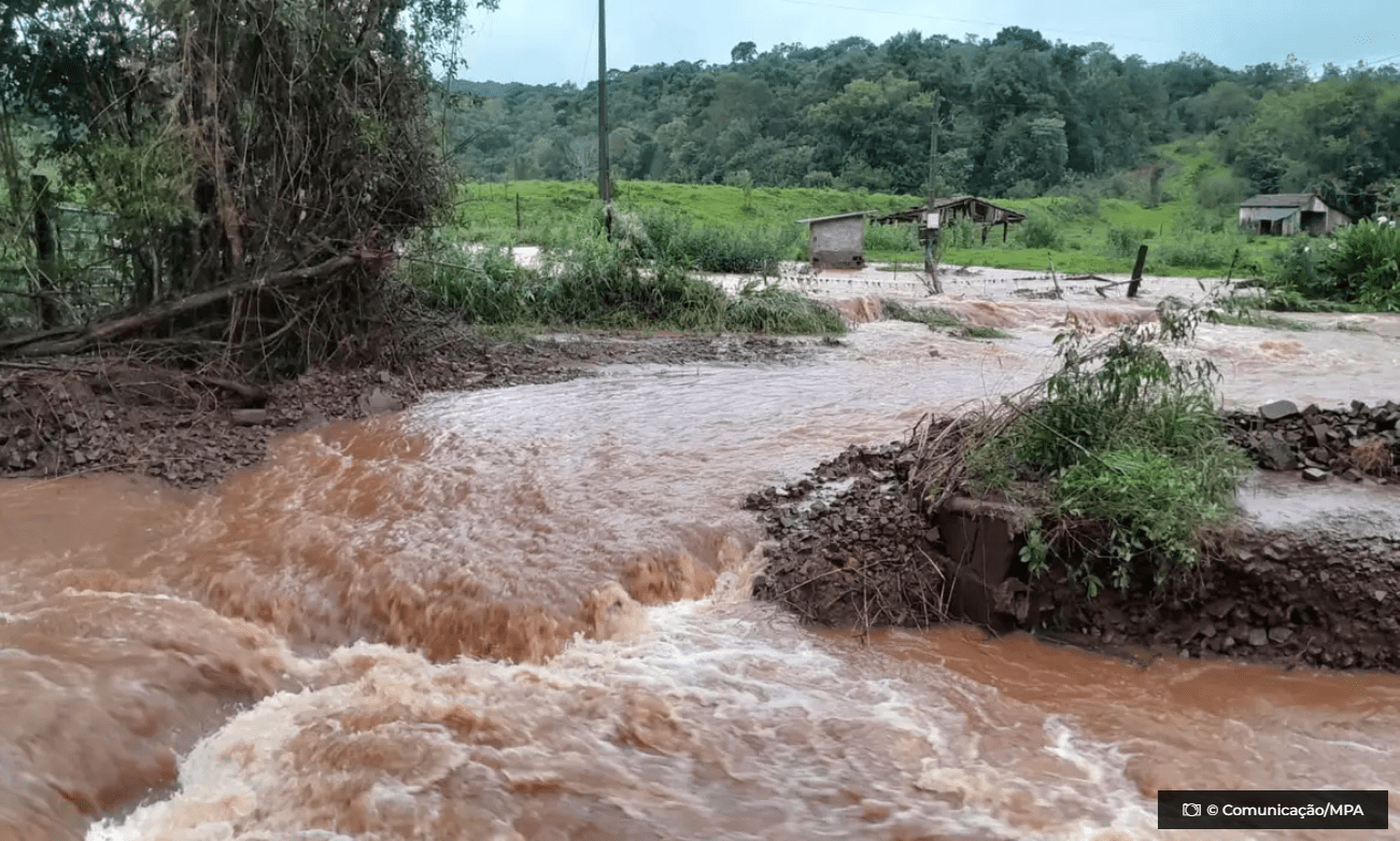 Tragedia sem precedentes no campo dizem pequenos agricultores do RS © Comunicacao MPA O Diário de Notícias do País!