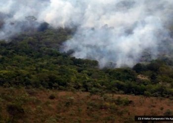 Dois mil brigadistas sao contratados para combater incendio no pais © Valter Campanato I Via Agencia Brasil O Diário de Notícias do País!