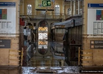 Mercado de Porto Alegre retoma atividades parcialmente na sexta feira © Rafa Neddermeyer I Via Agencia Brasil O Diário de Notícias do País!