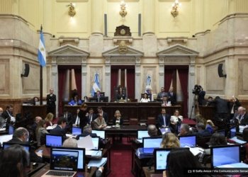 Sesion Publica Especial en el Senado de la Nacion el 12 de Junio del 2024 en Buenos Aires Argentina © Sofia Areco I Via Comunicacion Senado O Diário de Notícias do País!