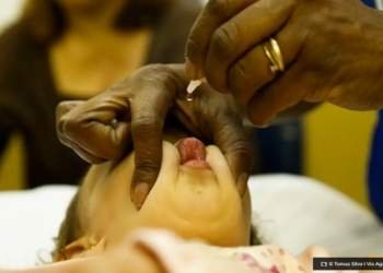 Polio OMS vacinara 600 mil criancas com menos de 8 anos em Gaza © Tomaz Silva I Via Agencia Brasil O Diário de Notícias do País!