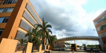 Anvisa aprova novo medicamento para hemofilia: mais autonomia e menos picadas