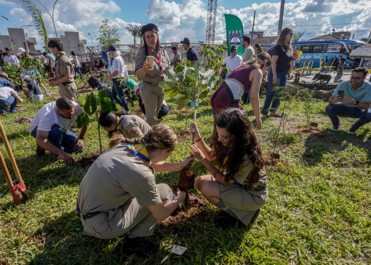 COP15 em Campo Grande garante proteção inédita para mais de 40 espécies migratórias