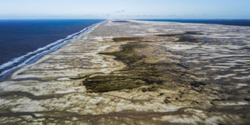 Lula cria duas UCs federais no RS para preservar biodiversidade do Atlântico Sul