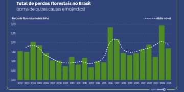 Brasil registra redução de 42% nas perdas florestais em 2025, revela estudo