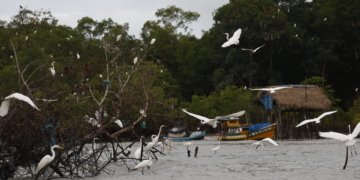 Amazônia Soberana: governo federal reforça combate ao crime em áreas de fronteira