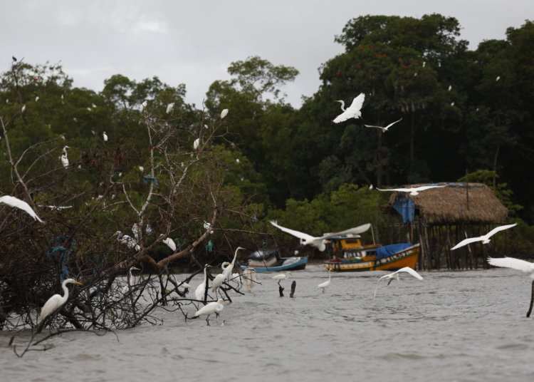 Amazônia Soberana: governo federal reforça combate ao crime em áreas de fronteira
