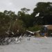 Amazônia Soberana: governo federal reforça combate ao crime em áreas de fronteira