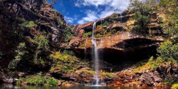 Criança de 8 anos é atacada por onça-parda na Chapada dos Veadeiros