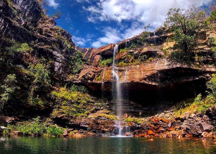 Criança de 8 anos é atacada por onça-parda na Chapada dos Veadeiros