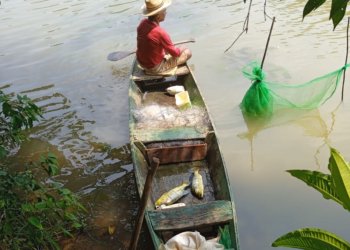 Dez anos de Belo Monte: o legado de impactos sociais e ambientais no Rio Xingu