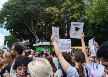 Justiça arquiva caso do Cão Orelha após pedido do Ministério Público