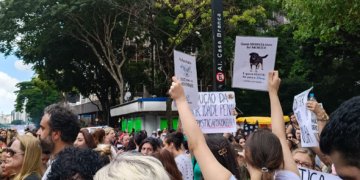 Justiça arquiva caso do Cão Orelha após pedido do Ministério Público