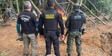 Operação conjunta combate garimpo ilegal na divisa entre Amapá e Pará