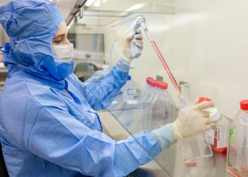 PUCPR desenvolve terapia com células-tronco para tratar DECH após transplante