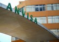 Anvisa aprova novos medicamentos para psoríase, asma e doenças inflamatórias