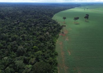 Brasil defende fundo para florestas tropicais em fórum da ONU em Nova Iorque