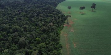 Brasil defende fundo para florestas tropicais em fórum da ONU em Nova Iorque