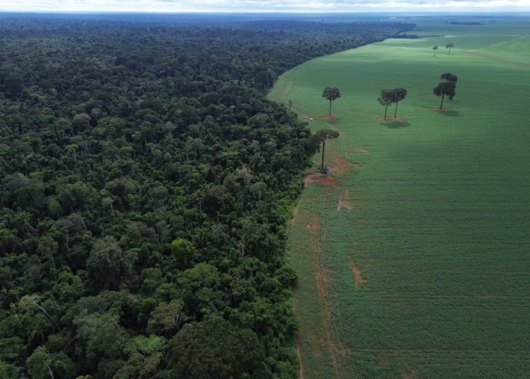 Brasil defende fundo para florestas tropicais em fórum da ONU em Nova Iorque