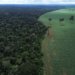 Brasil defende fundo para florestas tropicais em fórum da ONU em Nova Iorque