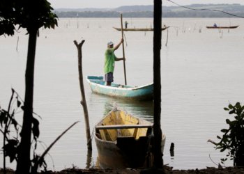 Conferências estaduais de aquicultura e pesca mobilizam setor entre junho e julho
