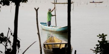 Conferências estaduais de aquicultura e pesca mobilizam setor entre junho e julho