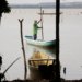 Conferências estaduais de aquicultura e pesca mobilizam setor entre junho e julho