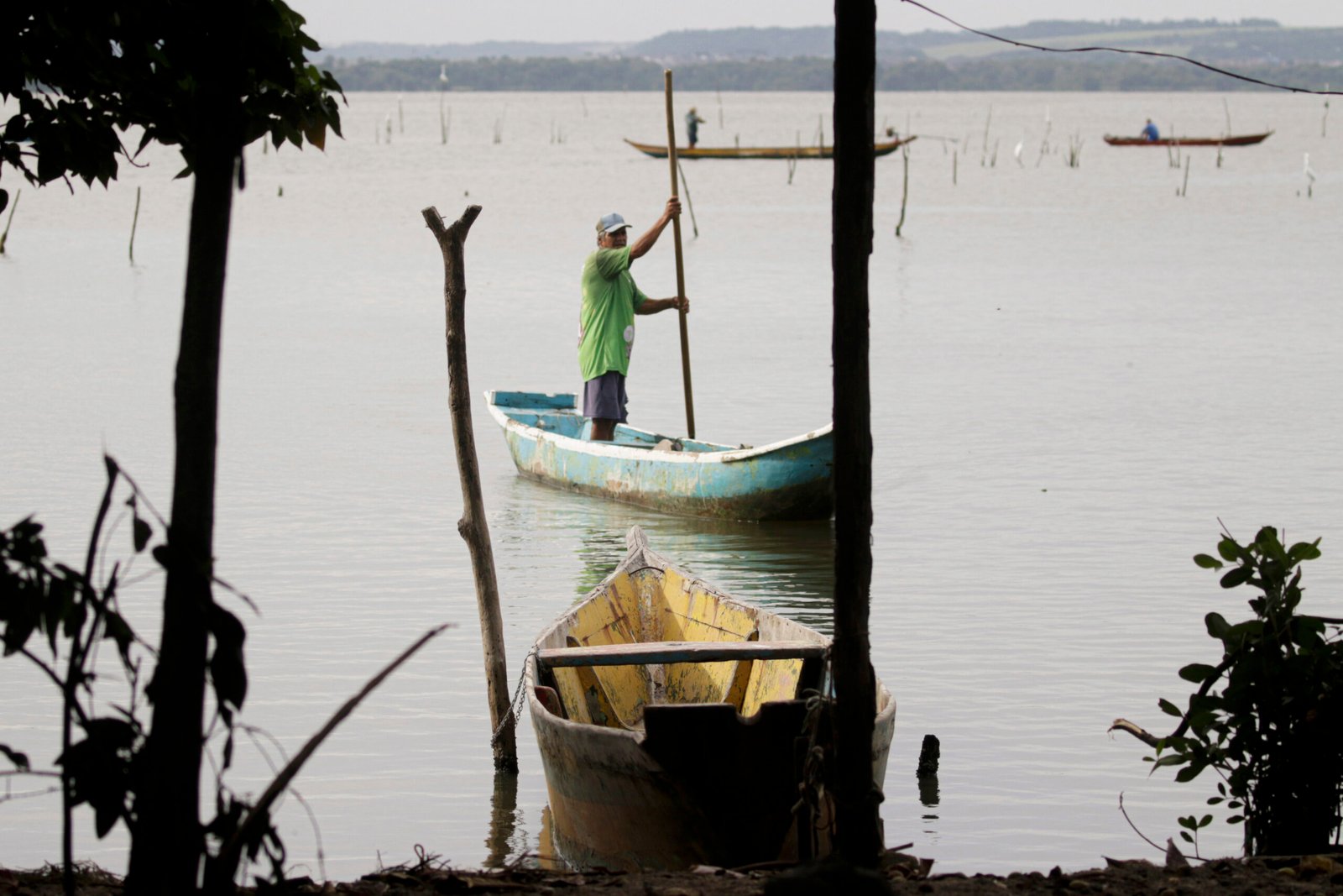 Conferências estaduais de aquicultura e pesca mobilizam setor entre junho e julho