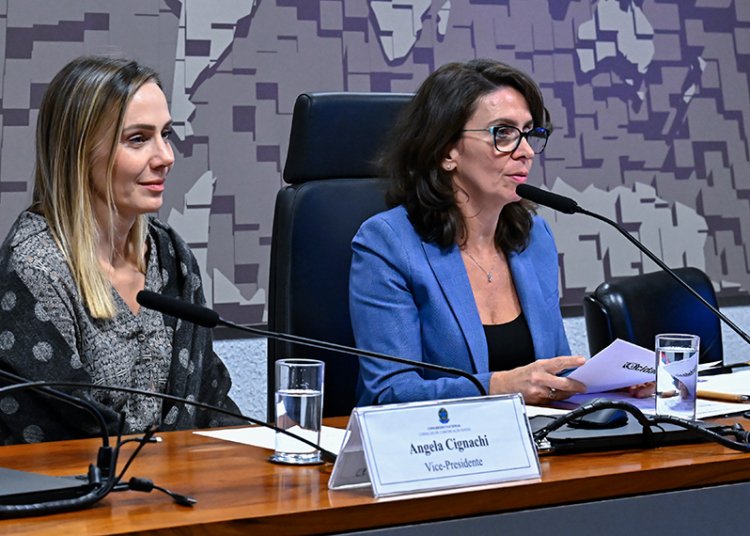 Conselho de Comunicação Social lamenta agressões sofridas por jornalistas