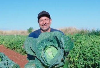 Desenrola Rural: agricultores familiares têm até dezembro para renegociar dívidas