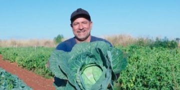 Desenrola Rural: agricultores familiares têm até dezembro para renegociar dívidas
