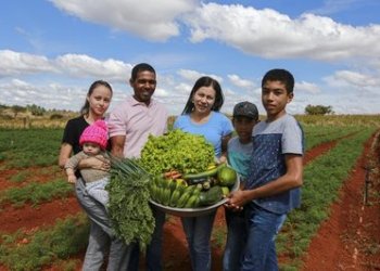 Desenrola Rural: novo programa oferece até 96% de desconto em dívidas do campo