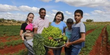 Desenrola Rural: novo programa oferece até 96% de desconto em dívidas do campo