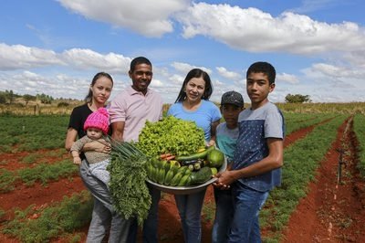 Desenrola Rural: novo programa oferece até 96% de desconto em dívidas do campo