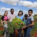 Desenrola Rural: novo programa oferece até 96% de desconto em dívidas do campo