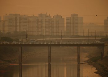 Fazenda define setores que abrirão mercado brasileiro de carbono a partir de 2027