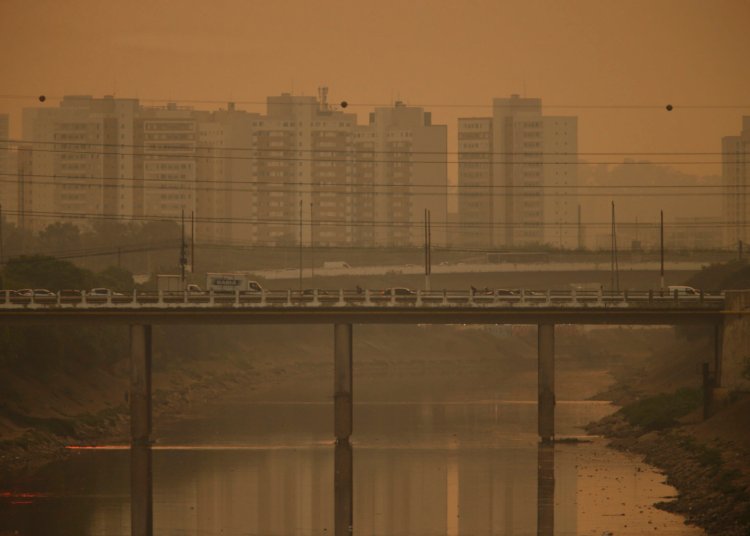 Fazenda define setores que abrirão mercado brasileiro de carbono a partir de 2027