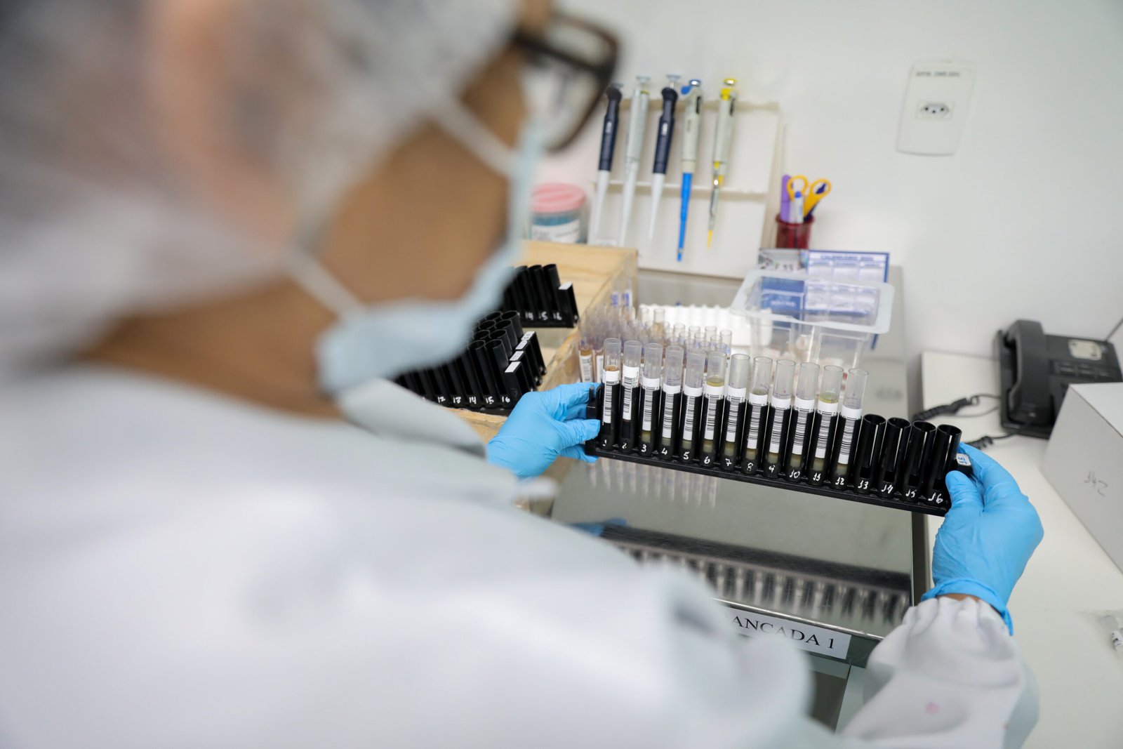 Fiocruz patenteia novo tratamento contra malária resistente nos EUA