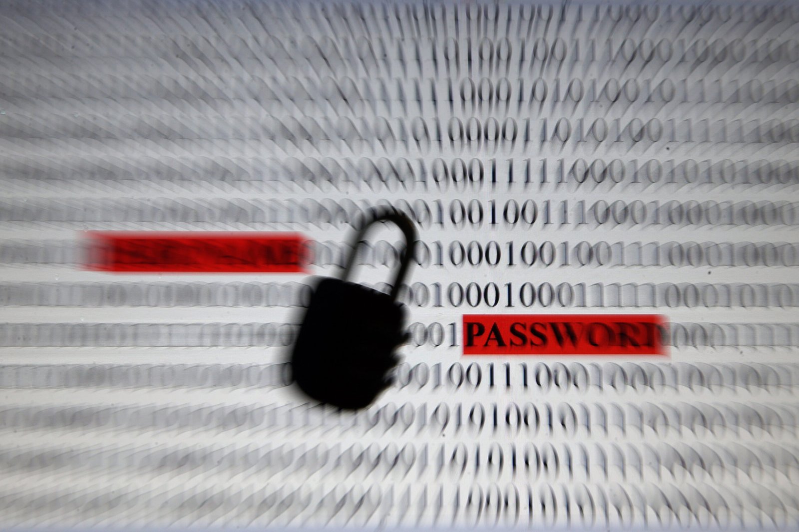 Governo lança guia prático para proteger brasileiros de golpes digitais
