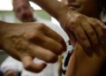 HPV causa 7,5 mil mortes e 29 mil internações por ano no Brasil