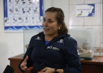 Microplástico em peixes do litoral do Paraná: 93,6% das amostras analisadas