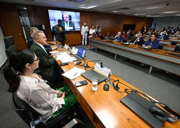 Moratórias da soja e do boi punem produtores, para debatedores na CRA